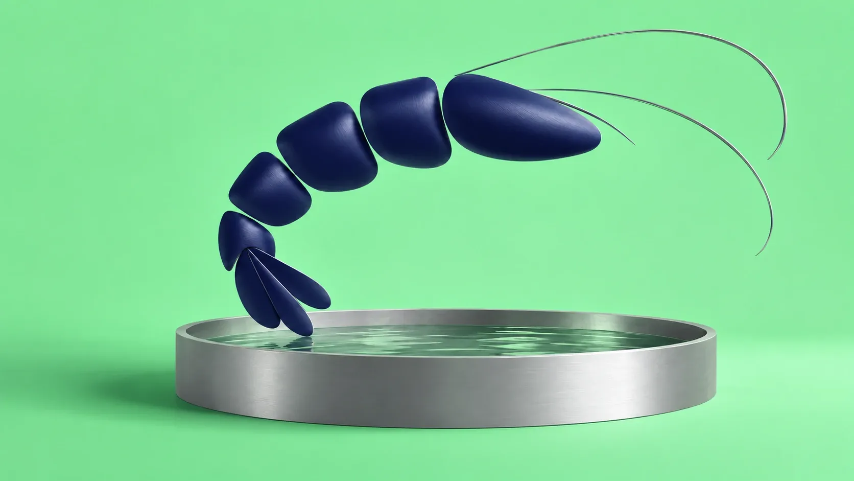 Conceptual editorial illustration for Shrimp aquaculture: Venezuela’s biggest non-oil opportunity?